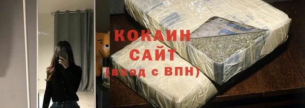 2c-b Пестово