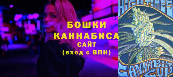 2c-b Пестово