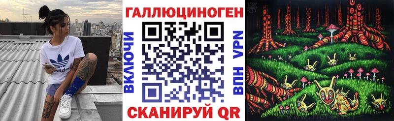 сайты даркнета клад  Зверево  Псилоцибиновые грибы Psilocybe  купить наркотик 